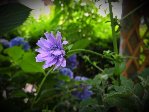 rblog-20160630184836-03.jpg