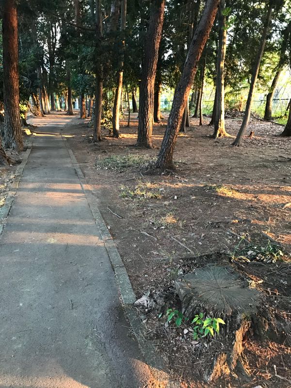rblog-20180408180306-05.jpg