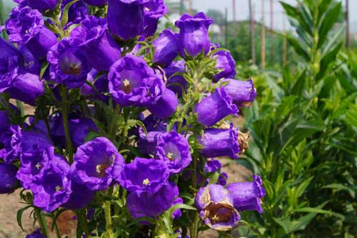 20140614_06.jpg