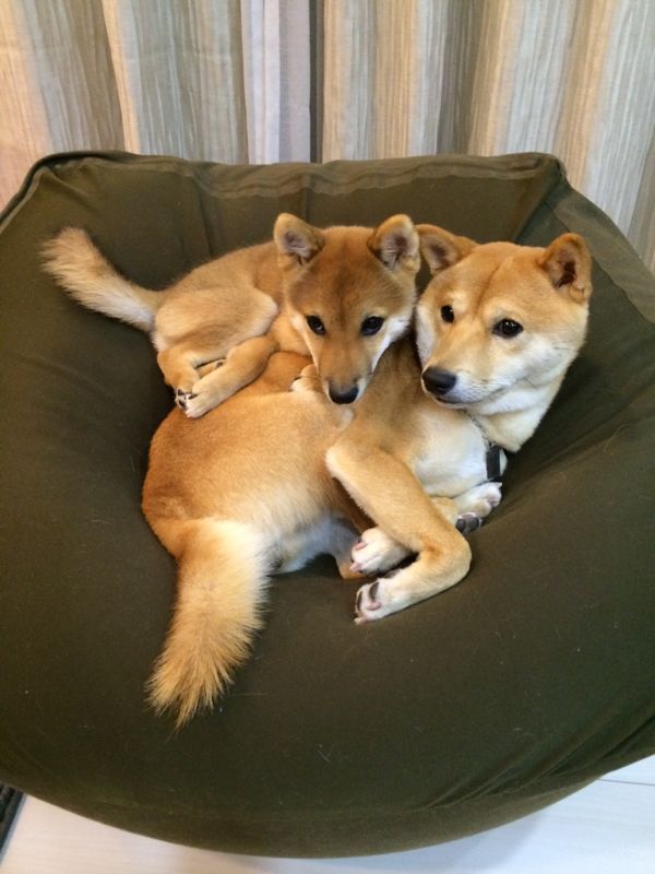rblog-20150720163109-06.jpg