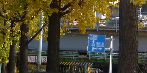 P1270908画像1.jpg
