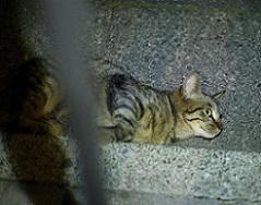 5DA_0875-11.jpg