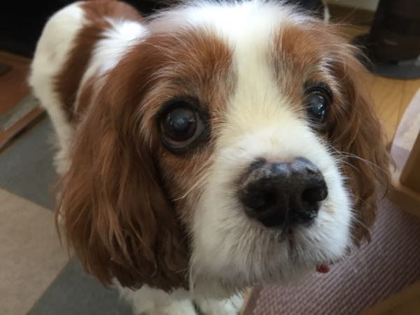 rblog-20160520075751-04.jpg