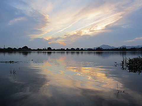IMG_3805.jpg