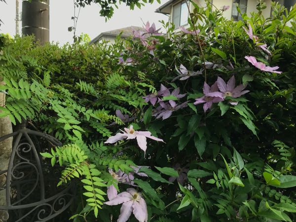 rblog-20180429182251-01.jpg
