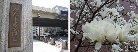 弾正橋画像1.jpg