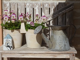 P1110624ss.jpg