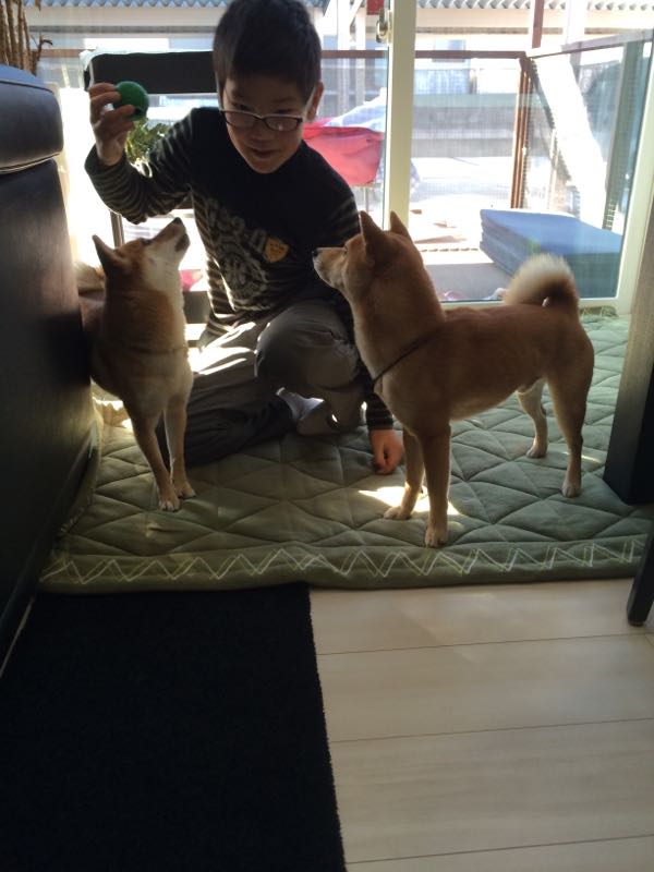 rblog-20160210174013-07.jpg