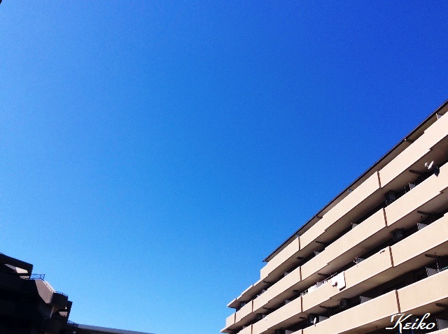 青空1.jpg