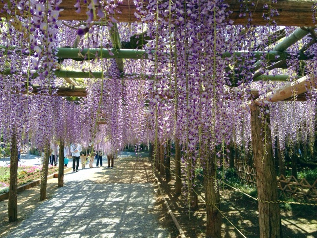 rblog-20130427150102-03.jpg