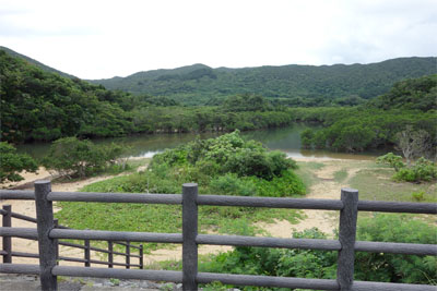 石垣259.jpg