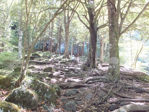 010m.jpg