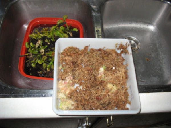 rblog-20180103180452-00.jpg