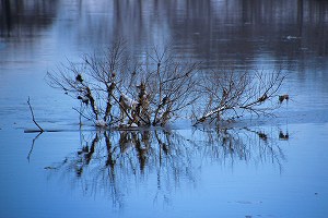 IMG_9970.jpg