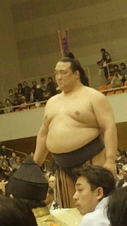 稀勢の里.jpg