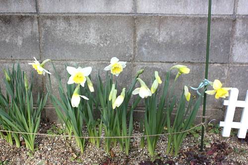 2015032405.jpg