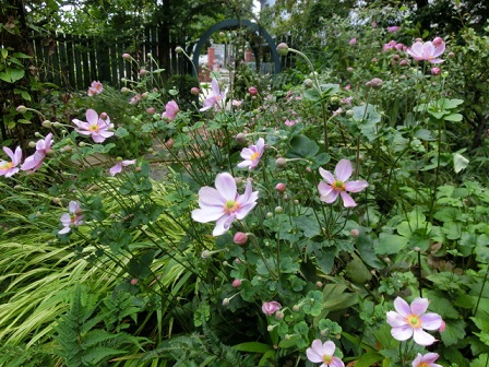 ボタニックガーデン