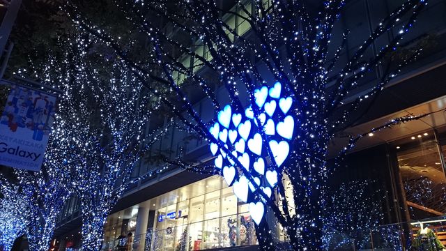 2015-11-28 17.15.05.jpg