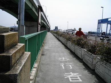 観月橋
