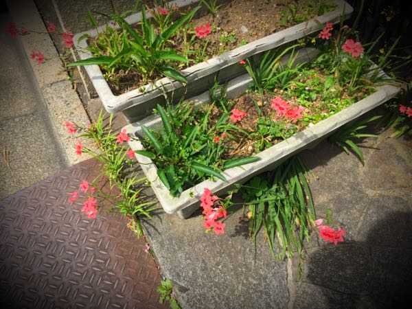 rblog-20160508153649-04.jpg