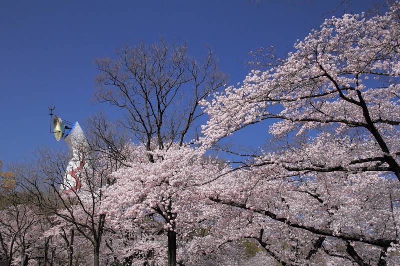 万博記念公園_004.jpg