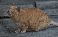 IMG_2137-24.jpg