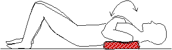 背中3.gif