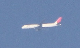 E7D_0895-2.jpg
