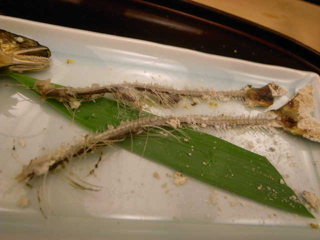 RIMG21275.JPG
