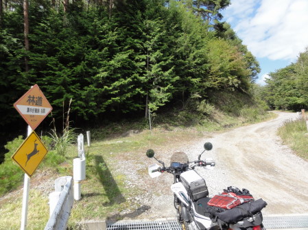 黒牛折草線入口