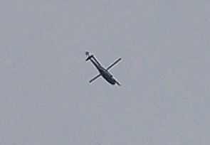 DSC_2011-14.jpg