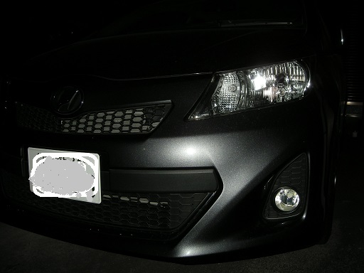 LED 1005.JPG