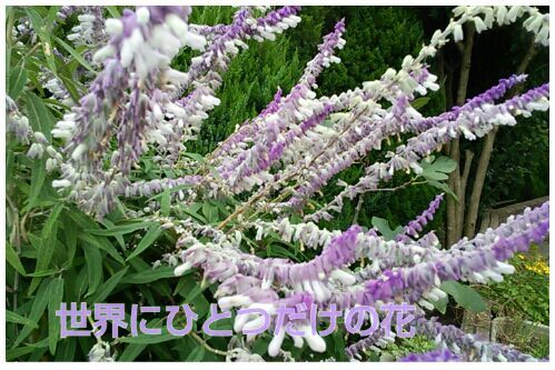 rblog-20161104200855-00.jpg
