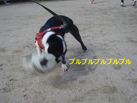 DSC04115.JPG