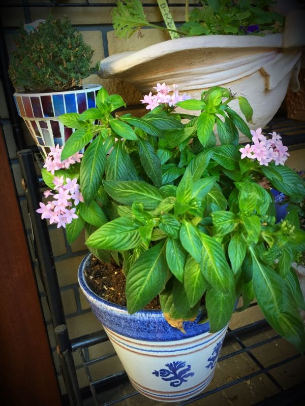 rblog-20151025172217-01.jpg