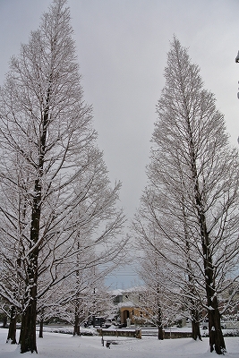 大雪