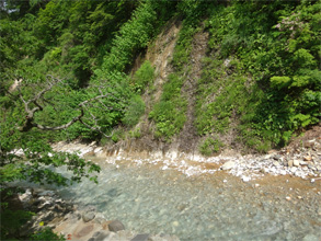 夏油18.jpg