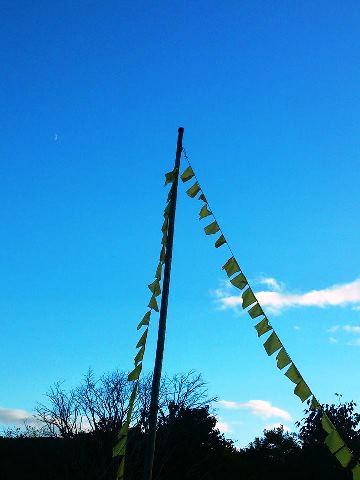 幸せの黄色いハンカチ