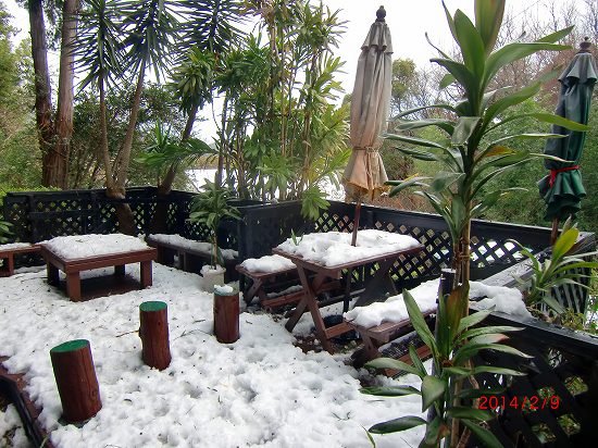 伊豆の初雪 001.jpg