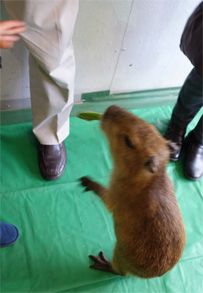 那須24.jpg