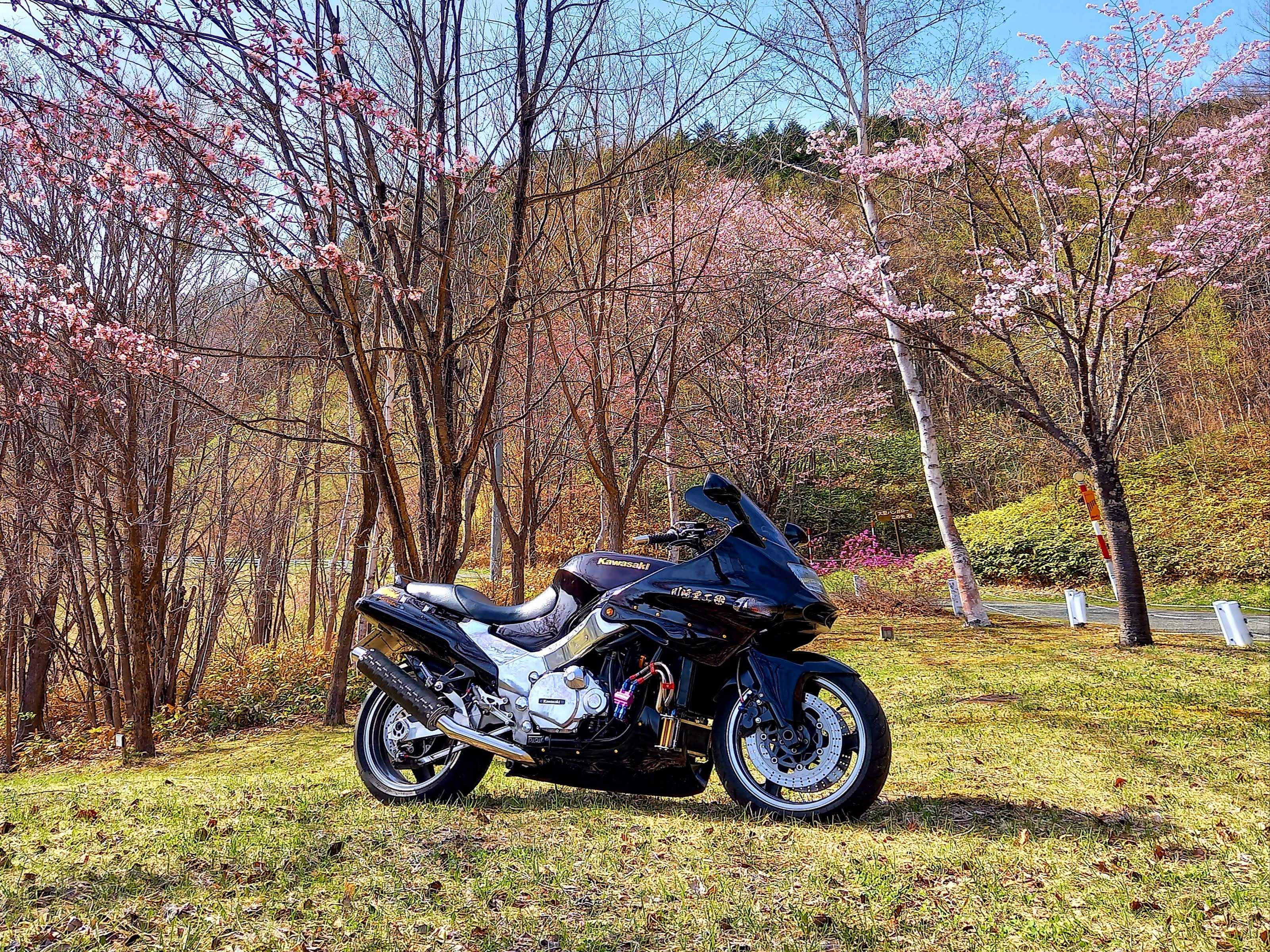 ZZR1100D スーパーコンバット 販売車両紹介】カワサキ ZZ-R1100 ZXT10C SP忠男スーパー