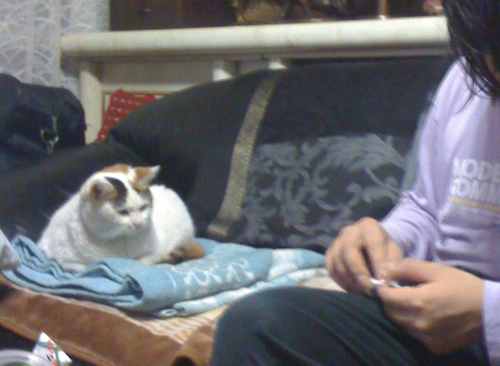 20120304c1.jpg