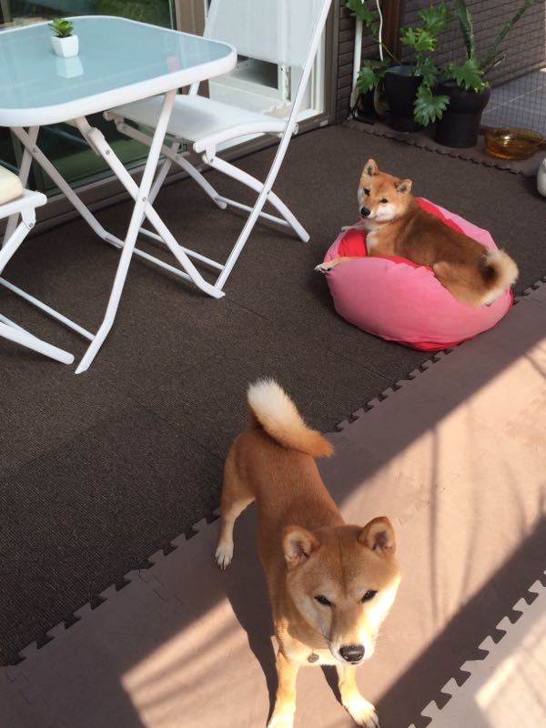 rblog-20161006152130-01.jpg