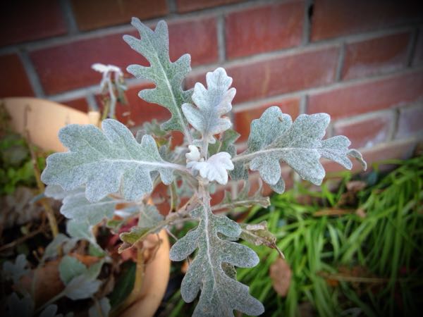 rblog-20141231141053-03.jpg