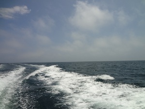DSC02960.JPG