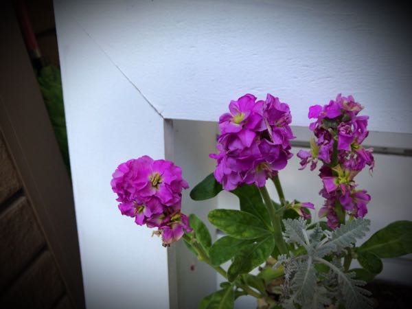 rblog-20161231163224-02.jpg