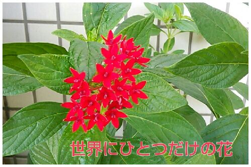 rblog-20160914201837-00.jpg