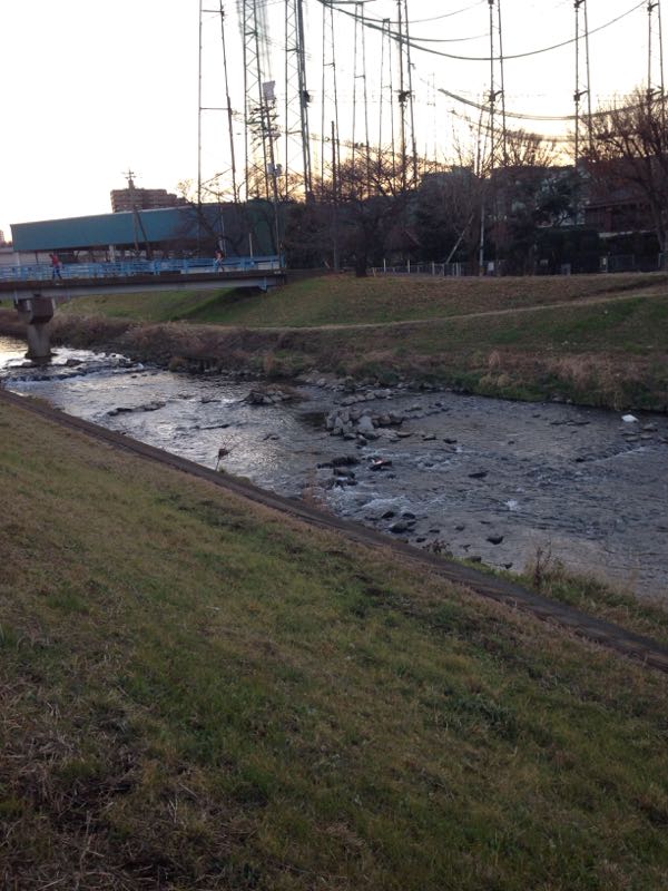 rblog-20150103163500-01.jpg