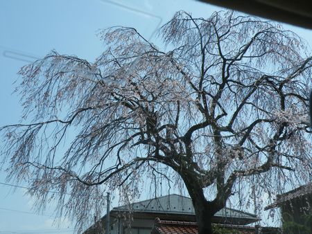 DSCF8062-450.jpg