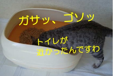 20121206_4.jpg